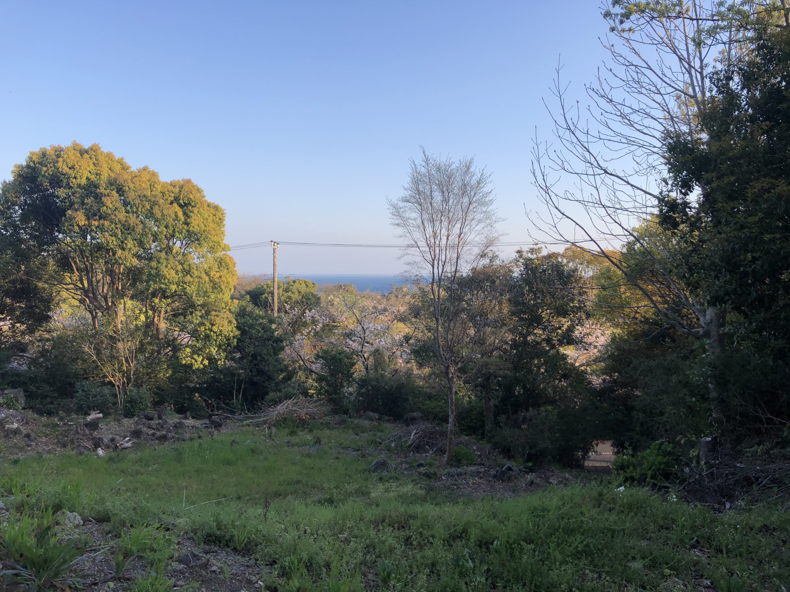 伊豆高原に建つ崖地山荘の敷地写真